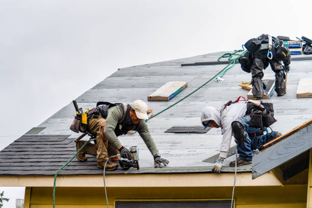Professional Storm Damage Roof Repair technician working in Lynchburg, TN